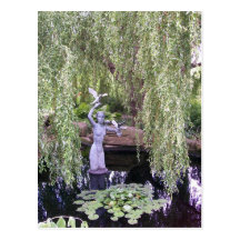 Weeping Willow Post Cards