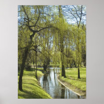 Weeping willow print