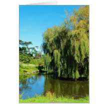 Weeping willow tree and lake card