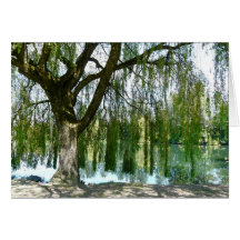 Weeping Willow Tree and Pond Cards