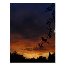 Weide und Vögel Post Cards