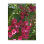 Weigela flowers ~ postcard