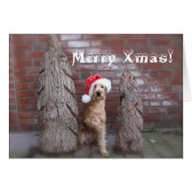 Weihnachtskarte "Irish Terrier"