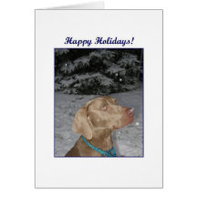 Weim Christmas Card