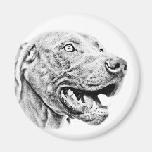 Weimaraner dog magnets