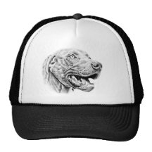 Weimaraner dog mesh hats