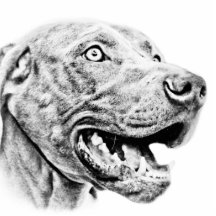 Weimaraner dog photo sculptures