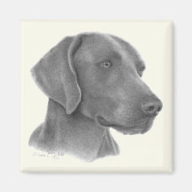 Weimaraner Fridge Magnet