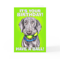 Weimaraner Have a Ball