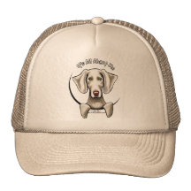 Weimaraner IAAM Mesh Hats