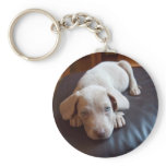 weimaraner key chain