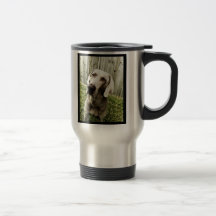 Weimaraner Mugs