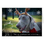 Weimaraner Nation :"Not A Creature was Stirring.." Greeting Card