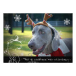 Weimaraner Nation :"Not a creature was stirring... Personalized Announcement
