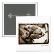 Weimaraner Nation : "The Foot Well Travelled" Pinback Buttons