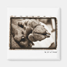 Weimaraner Nation : " The Foot Well Travelled" Magnets
