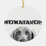 Weimaraner Nation : Weimaraner In A Box! Ornament