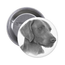 Weimaraner Pin