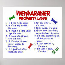 WEIMARANER PL2 POSTER