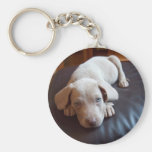 weimaraner porte-clé