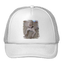 Weimaraner Puppy Baseball Cap Trucker Hats