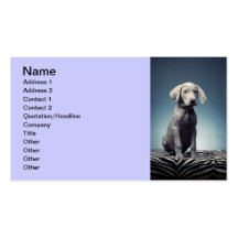 Weimaraner puppy business card templates