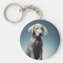 Weimaraner puppy key chains