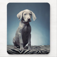 Weimaraner puppy mousepads