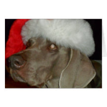 Weimaraner Santa Card