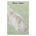 Weimaraner stationary stationery