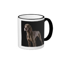 Weimaraner, studio shot coffee mugs