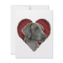 Weimaraner with Heart Custom Announcements