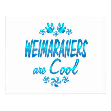 Weimaraners are Cool Postcards