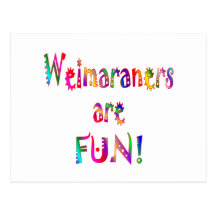 Weimaraners are Fun Post Card