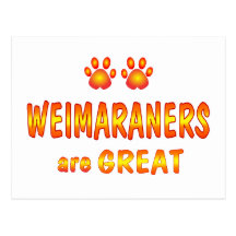 Weimaraners are Great Post Card