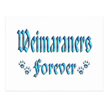 Weimaraners Forever Post Card
