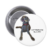 Weimaraners Rule! Pinback Buttons