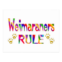 Weimaraners Rule Post Card