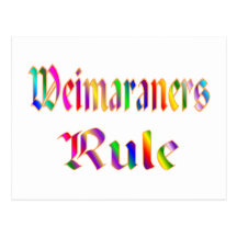 Weimaraners Rule Postcard