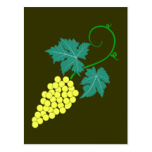 Weintrauben Rebe grapes grapevine Postkarten