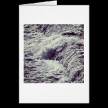 Weir cartes