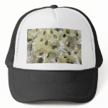 Weird Barnicle Type Critters By The Beach Hat