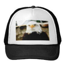 Weißkopf Seeadler Retrokult Cap