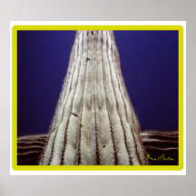 "WELCOME ARMS" PRINT