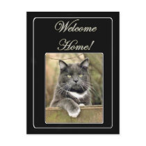 Welcome home cat postcard