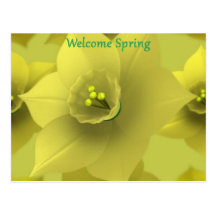 Welcome Spring Post Cards