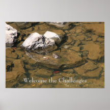 Welcome the Challenges Print
