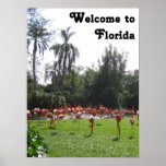 Welcome to Florida Flamingos Poster
