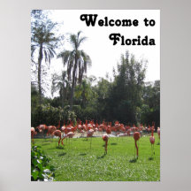 Welcome to Florida Flamingos Poster
