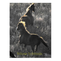 Welcome To Nebraska Postcard